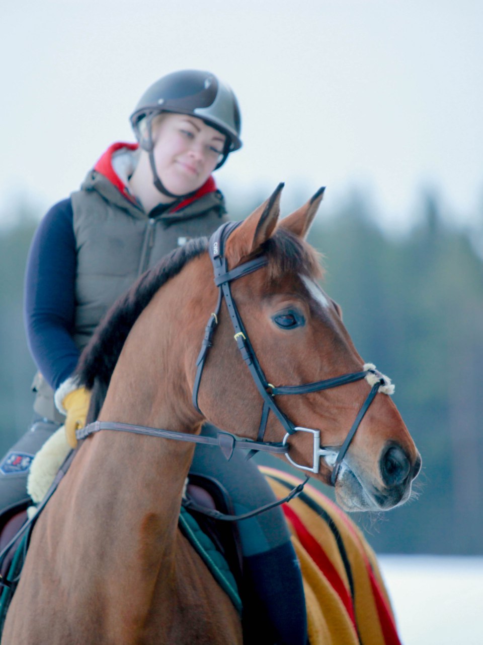 Mandi Kirjavainen Tmi